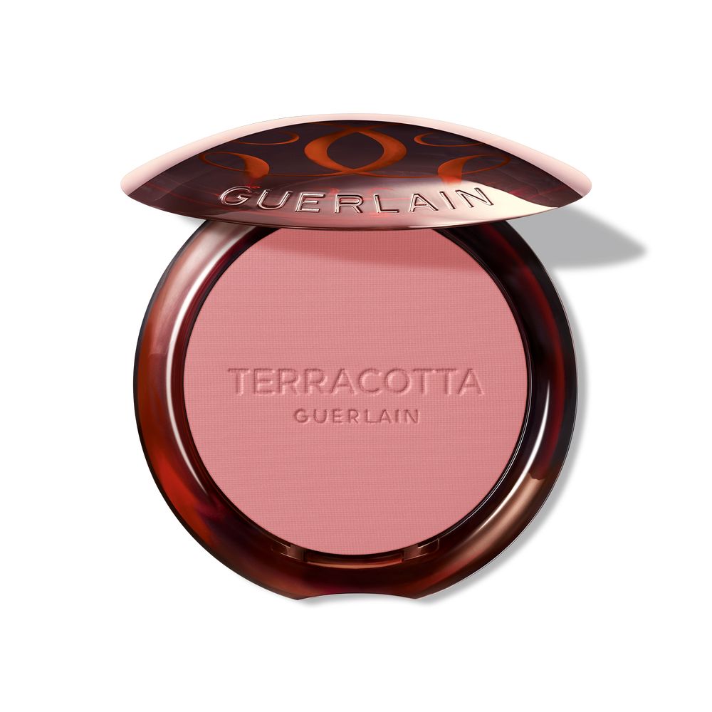 TERRACOTTA BLUSH blush effet bonne mine #01 1 u