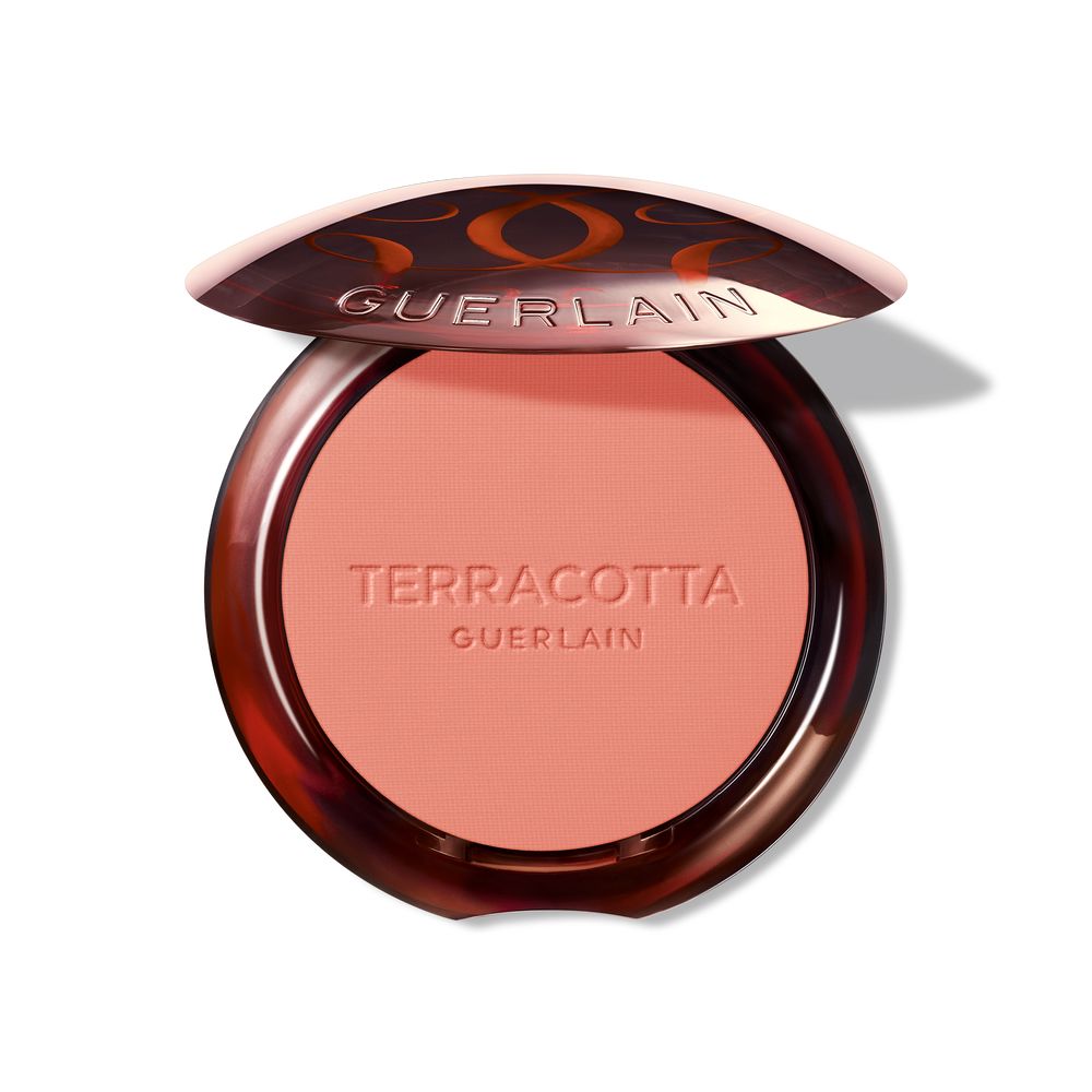 TERRACOTTA BLUSH blush effet bonne mine #02 1 u