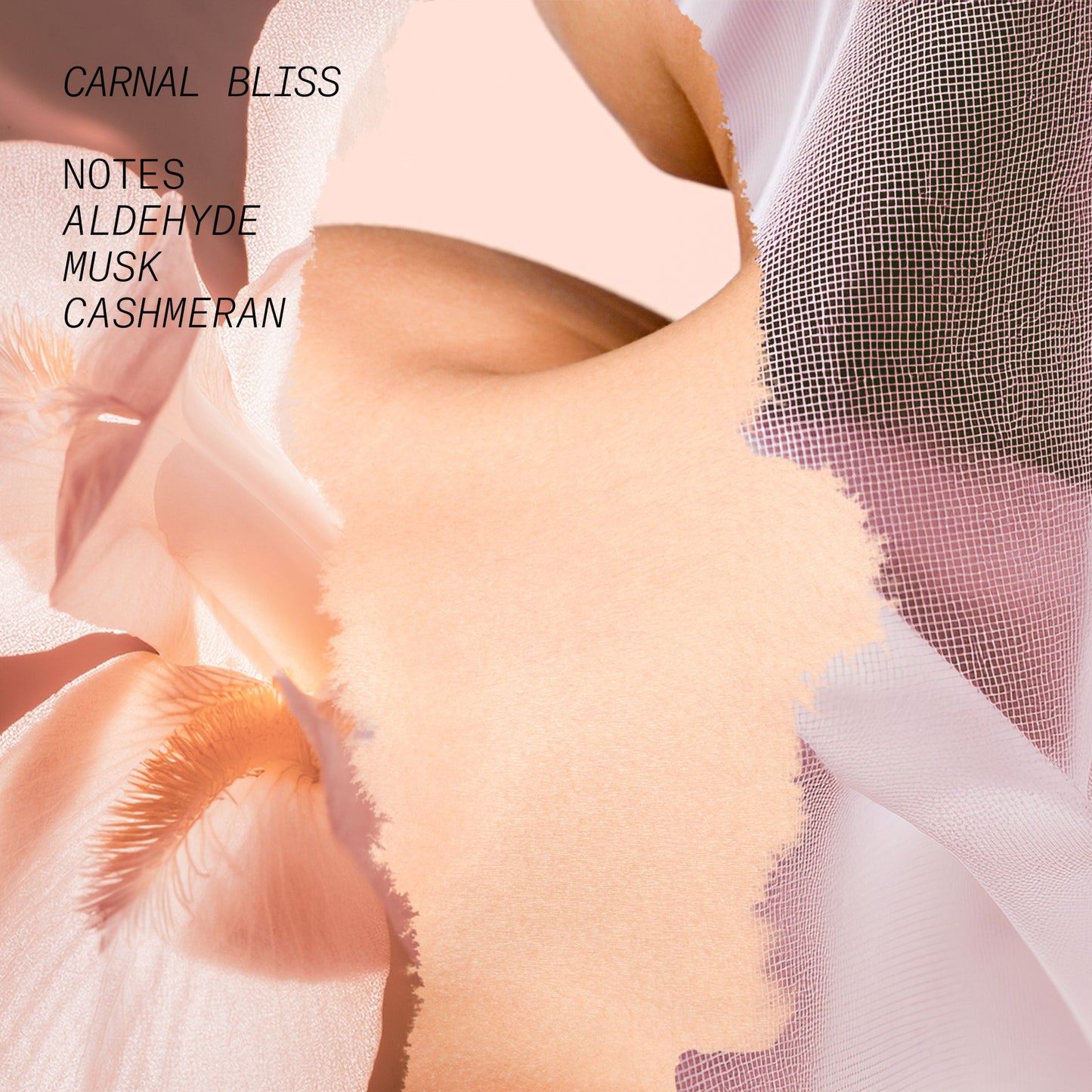 CARNAL BLISS EAU DE PARFUM